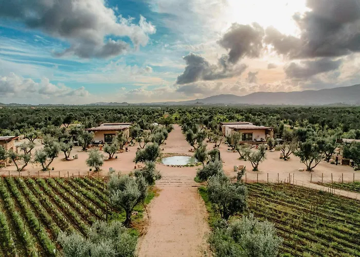 Habimo - Valle De Guadalupe